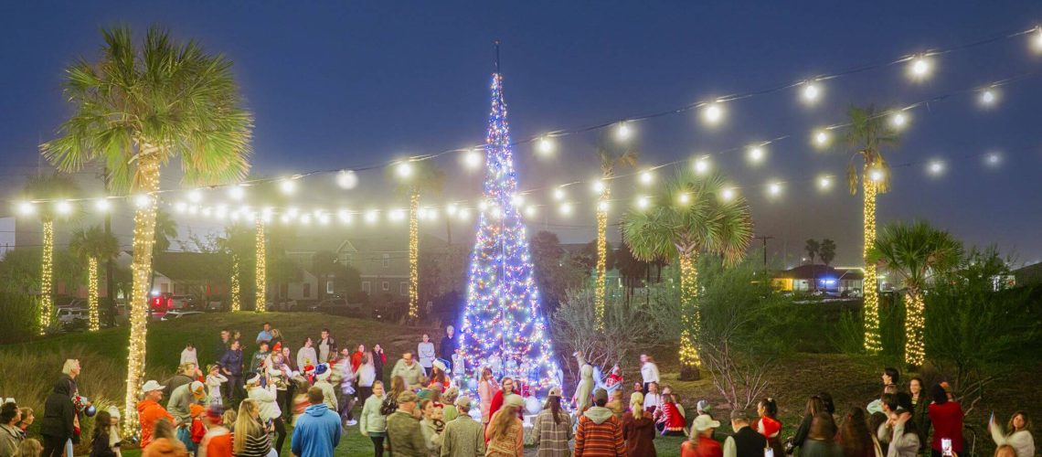 WNPI-HLghts2025-SwHOlfw4